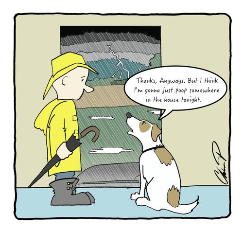 "Thanks, anyways. But I think I'm just gonna poop somewhere in the house tonight."