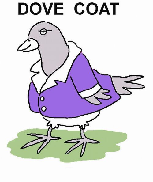 Dove Coat