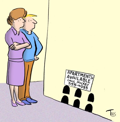 Apartments Available:  Call Mickey.