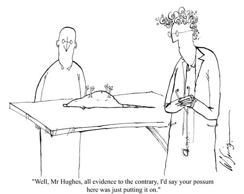'Well, Mr Hughes, all evidence to the contrary, I'd say your possum here was just putting it on.'