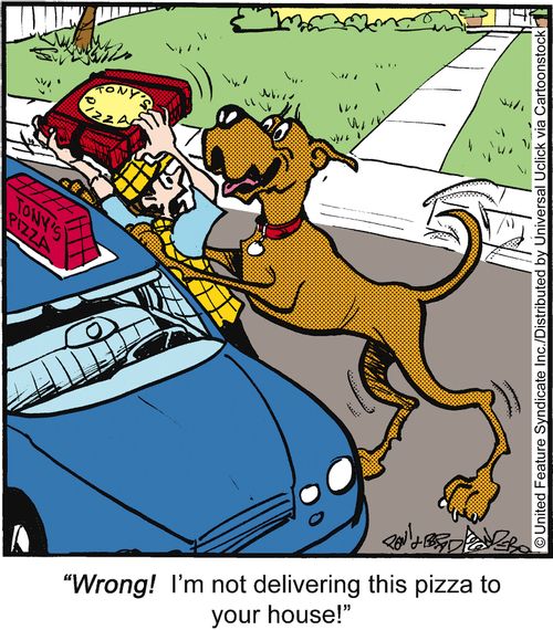 'Wrong! I'm not delivering this pizza to your house!'