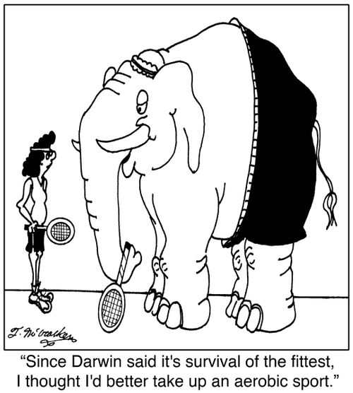 'Since Darwin said it's survival of the fittest, I thought I'd better take up an aerobic sport.'