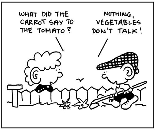 'What did the carrot say to the tomato? Nothing, vegetables don't talk.'