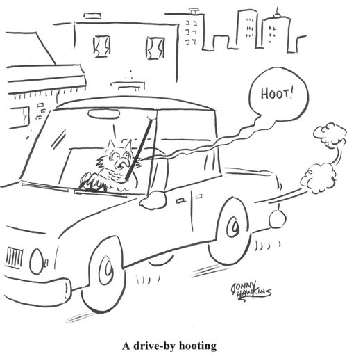 A drive-by hooting.