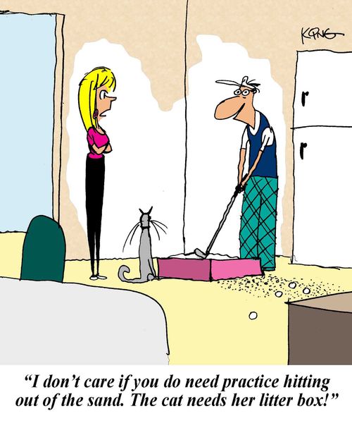 'I don't care if you do need practice hitting out of the sand. The cat needs her litter box!'