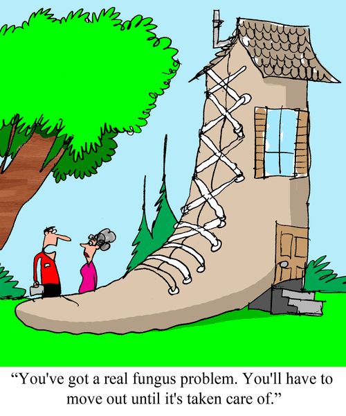 "You've got a real fungus problem. You'll have to move out until it's taken care of."