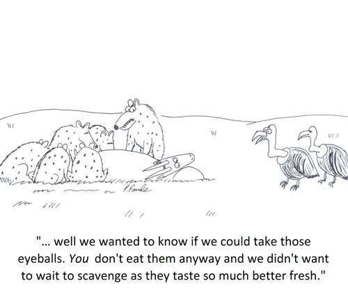 '… well we wanted to know if we could take those eyeballs. You don't eat them anyway and we didn't want to wait to scavenge as they taste so much better fresh.'
