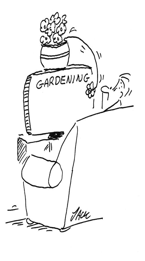 Flower watching a gardening programme.