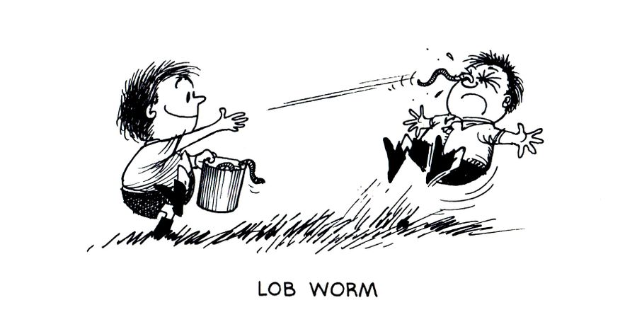 Fishing Terms: Lob Worm