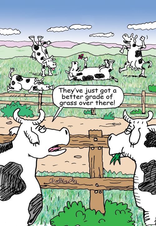 "They've just got a better grade of grass over there!"