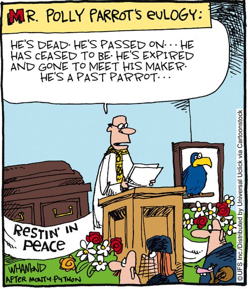 Mr. Polly Parrot's eulogy: 'He's dead. He's passed on. . . he has ceased to be. He's expired and gone to meet his maker. He's a past parrot. . .'