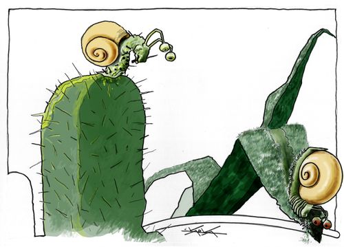 Snail on a cactus.