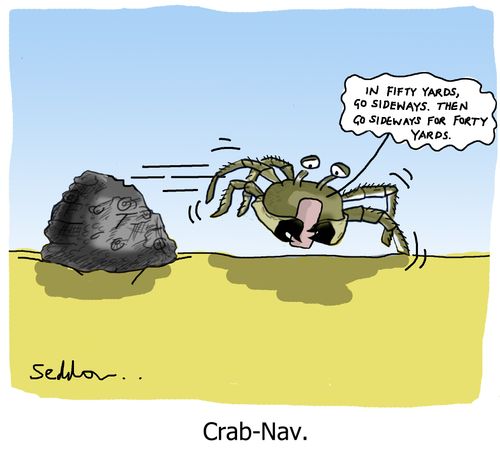 Crab-Nav