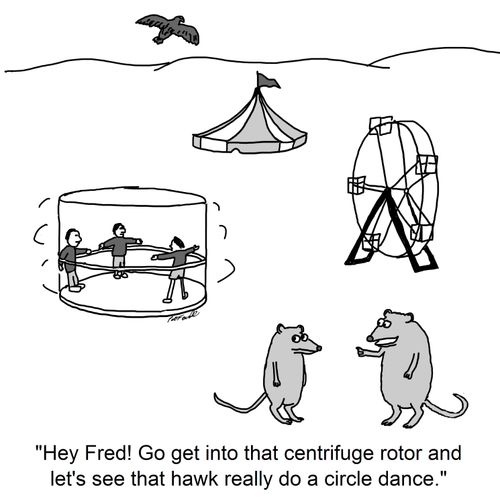 'Hey Fred! Go get into that centrifuge rotor and let's see that hawk really do a circle dance.'