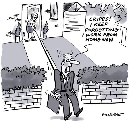 "Cripes! I keep forgetting I work from home now."