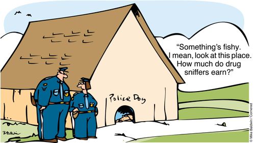 "Something's fishy. I mean look at this place. How much do drug sniffers earn?"