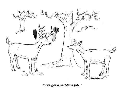 'I've got a part-time job.'
