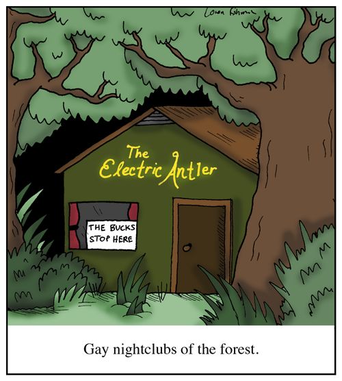 Gay nightclubs of the forest.
