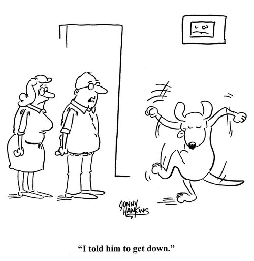 'I told him to get down.'