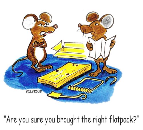 'Are you sure you brought the right flat pack?'
