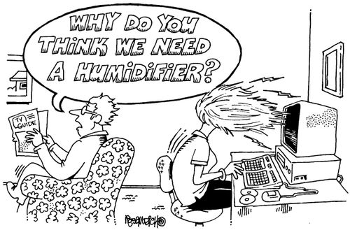 "Why do you think we need a humidifier?"