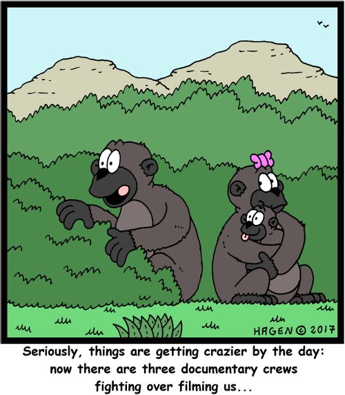 "Seriously, things are getting crazier by the day: now there are three documentary crews fighting over filming us..."