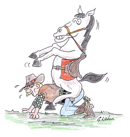 Horse Mounting Cowboy