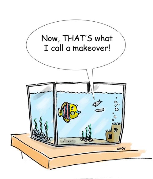 'Now THAT'S what I call a makeover!'