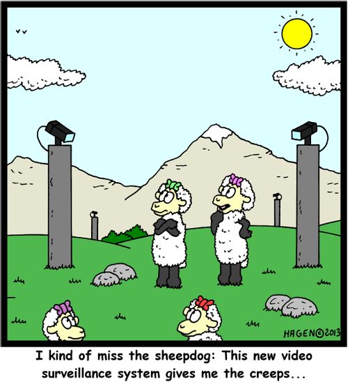 'I kind of miss the sheepdog: This new video surveillance system gives me the creeps...'