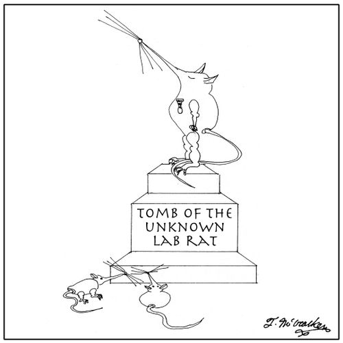 Tomb of the unknown lab rat.