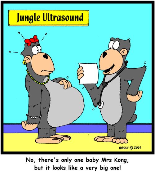 'No, there's only one baby Mrs Kong, but it looks like a very big one!'