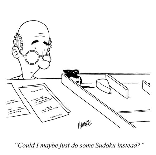 'Could I maybe just do some Sudoku instead?'