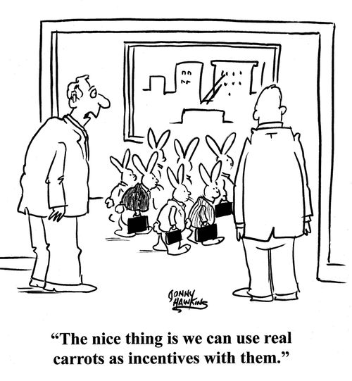 'The nice thing is we can use real carrots as incentives with them.'