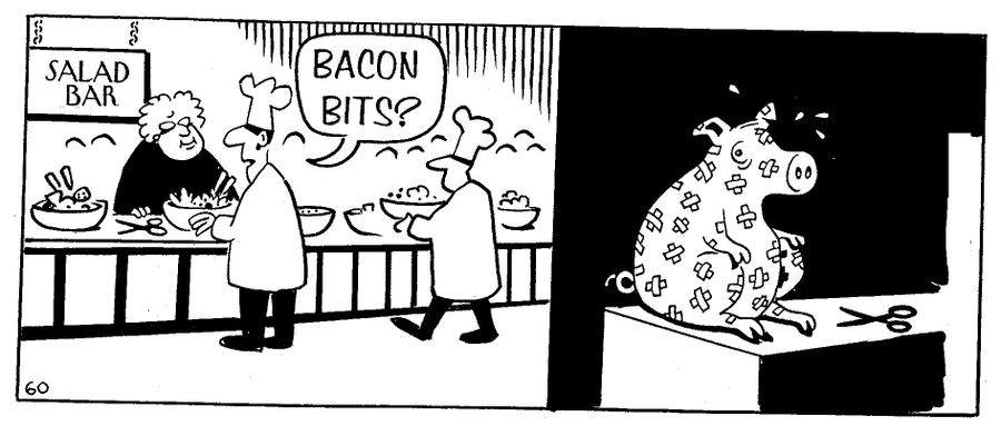 Bacon Bits