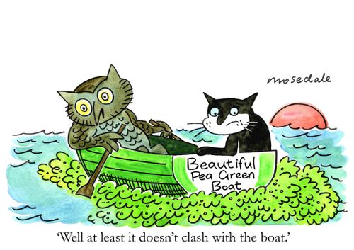 'Well at least it doesn't clash with the boat.'