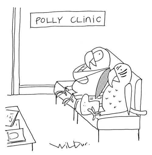 Polly Clinic.