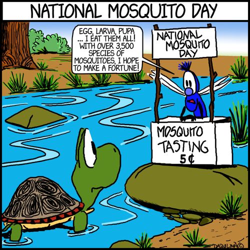 National Mosquito Day