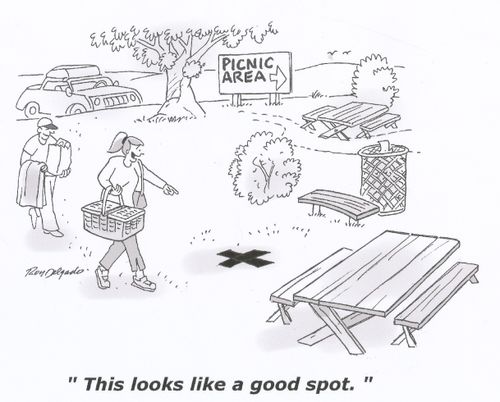 'This looks like a good spot.'