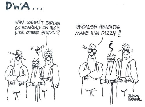 "Why doesn't Birdie go soaring on high like other birds?"  "Because heights make him dizzy!"
