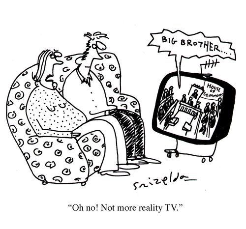 House of Commons on the TV - 'Oh no! Not more reality TV.'