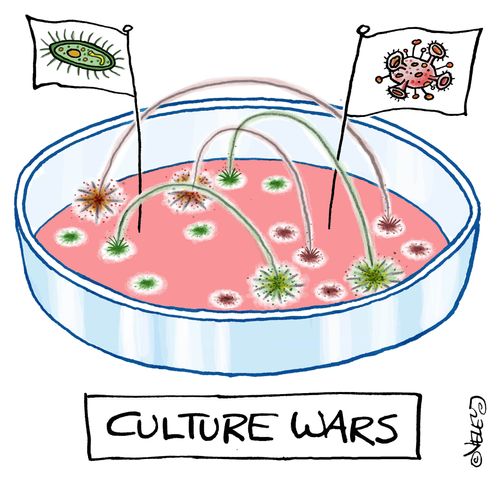 Culture Wars