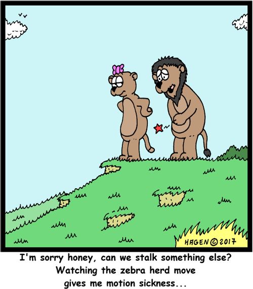 "I'm sorry honey, can we stalk something else? Watching the zebra herd move gives me motion sickness..."