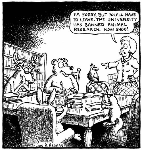 Animals doing research get kicked out of the library.