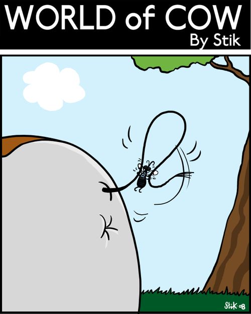 Fly using tail as skipping rope.