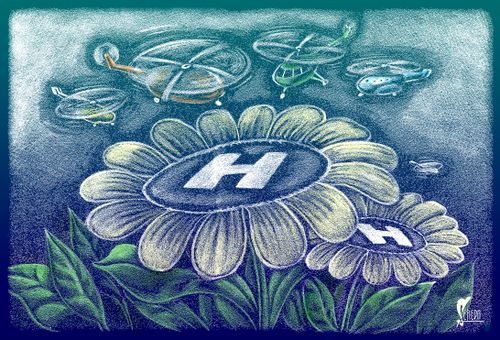 Landing helicopters on flowers.