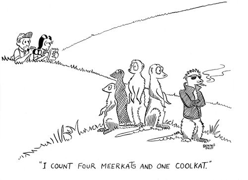 'I count four meerkats and one coolcat.'
