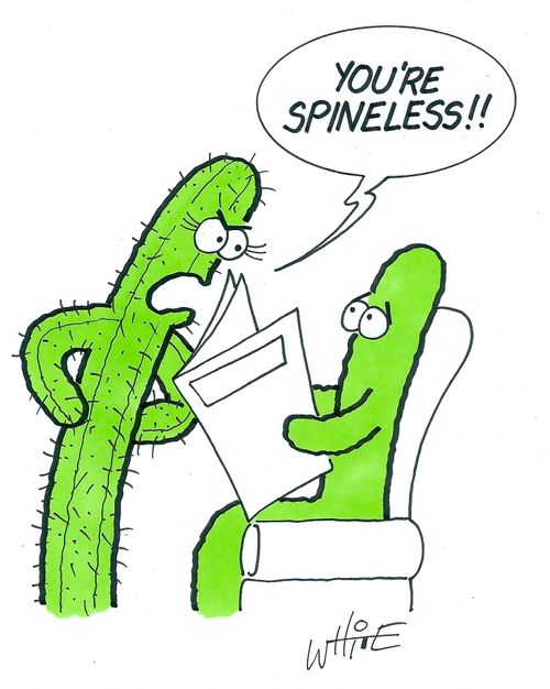 "You're spineless!!"