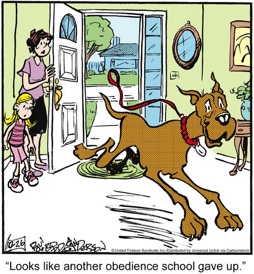'Looks like another obedience school gave up.'