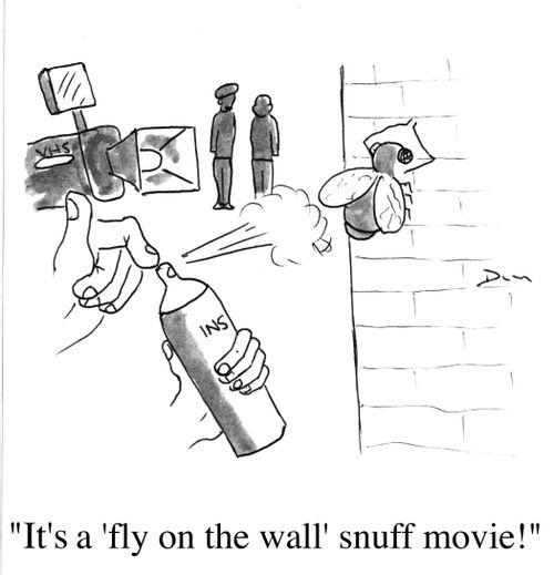 "It's a 'fly on the wall' snuff movie."