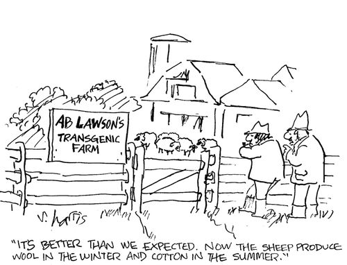 'It's better than we expected.  Now the sheep produce wool in the winter and cotton in the summer.'